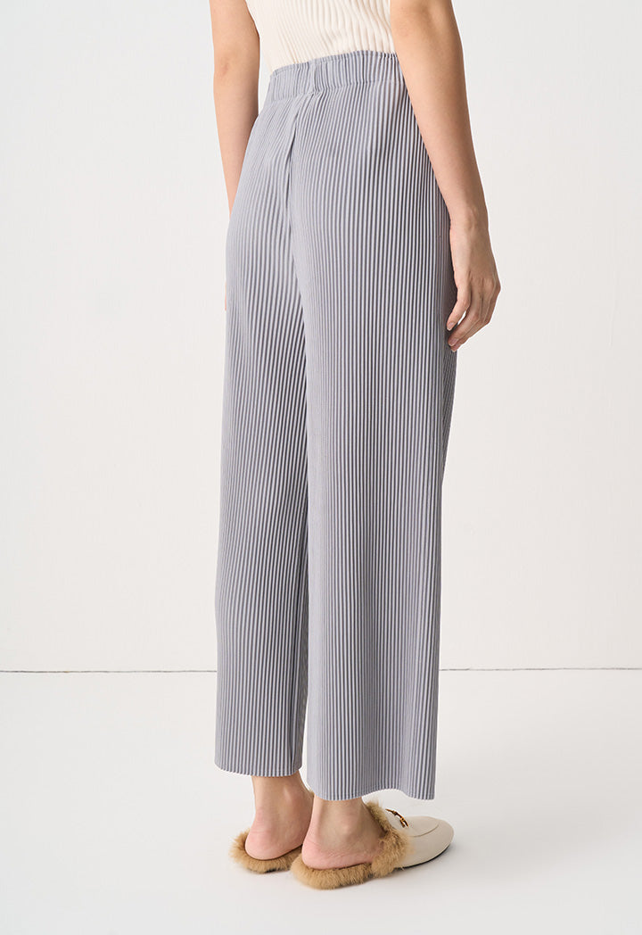 Choice Single Tone Pleated Trousers Grey