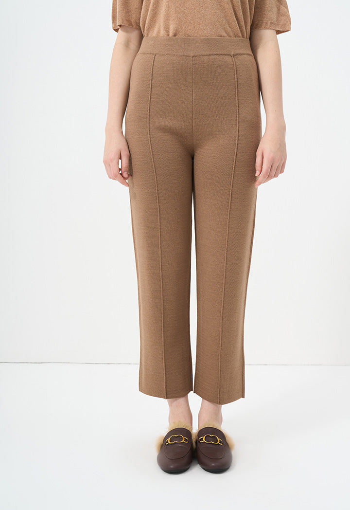 Choice Knitted Straight Fit Solid Pants Camel