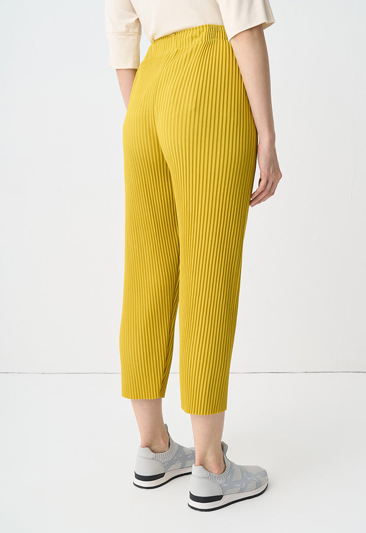 Choice Single Tone Pleated Trousers Yellow