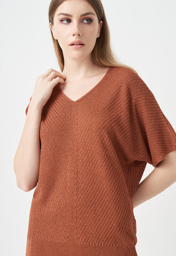 Choice Solid V-Neck Textured Blouse Brick