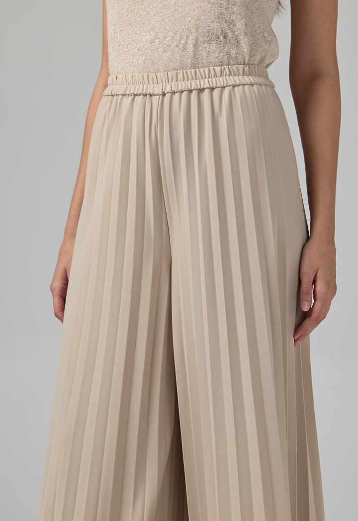 Choice Solid Wide Leg Pleated Trousers Beige