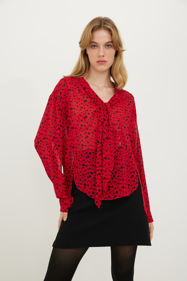 Roman Polka Dots Sheer Blouse Multi Color